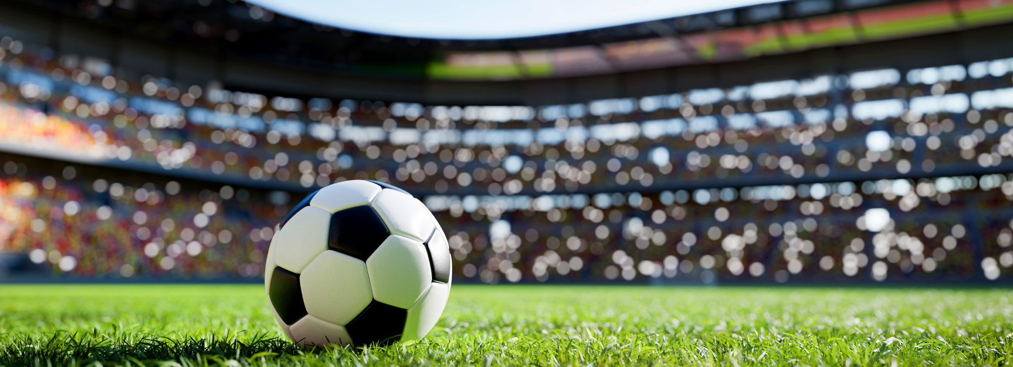 soccer ball on grass