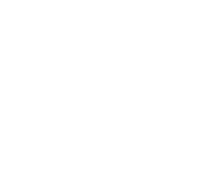 Scout Overnight