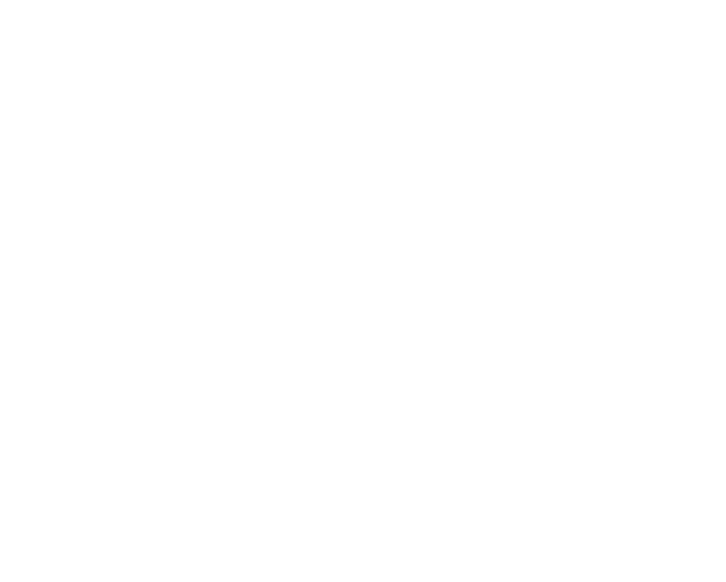 Boardwalk Overnights